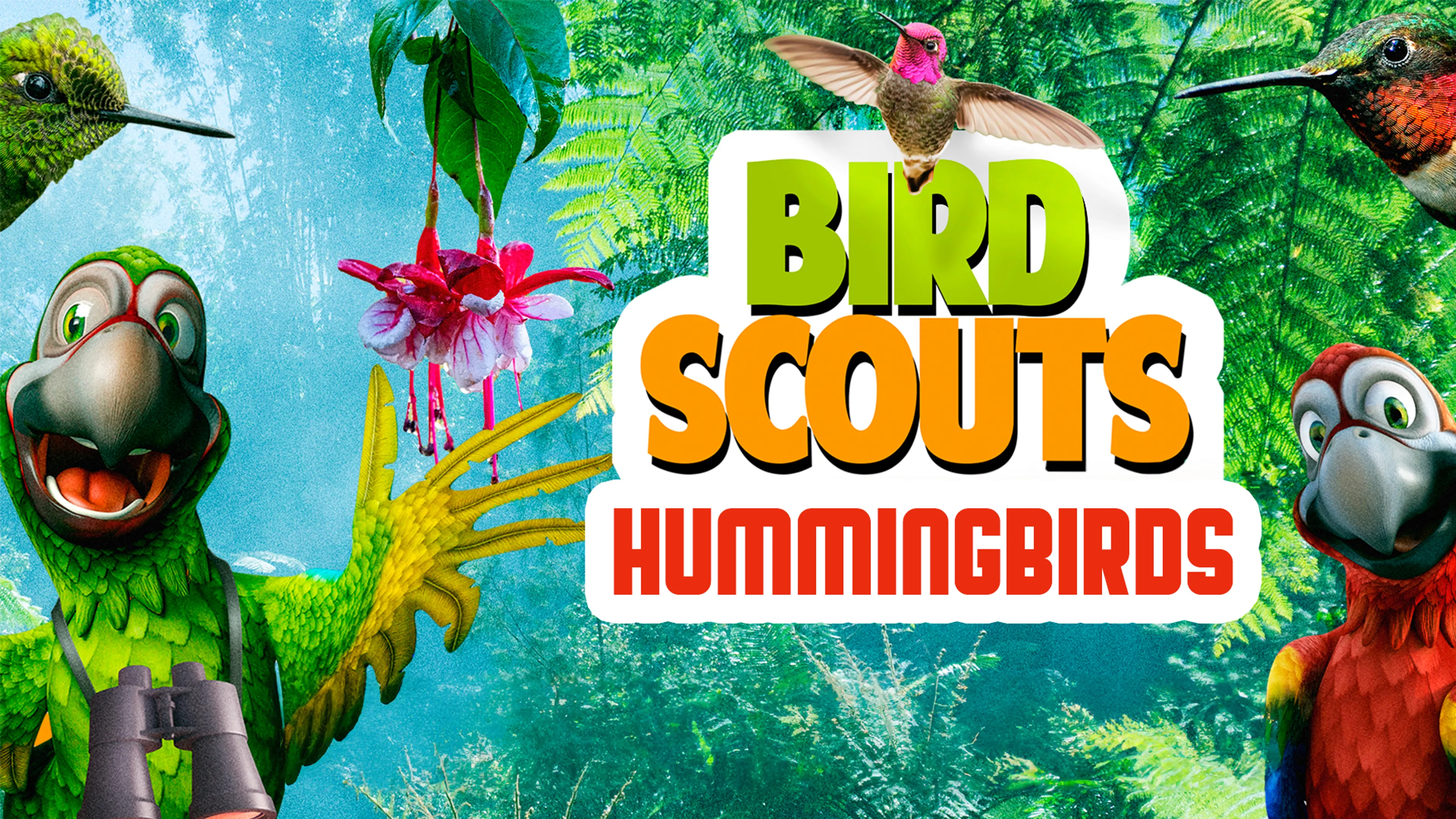 Bird Scouts: Hummingbirds poster